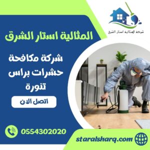 شركة مكافحة حشرات براس تنورة