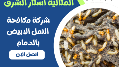 شركة مكافحة النمل الابيض بالدمام